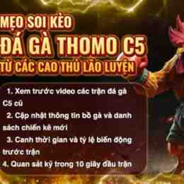 đá gà c5 hôm nay trận 21