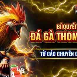 đá gà c5 ngày 25/8