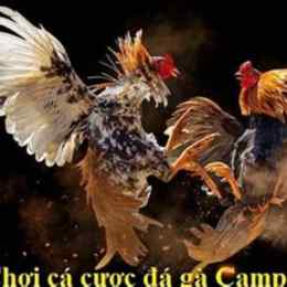 đá gà campuchia ngày 1 tháng 3