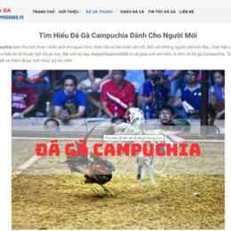 đá gà campuchia ngày 16 tháng 5