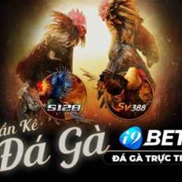 đá gà casino cửa sắt