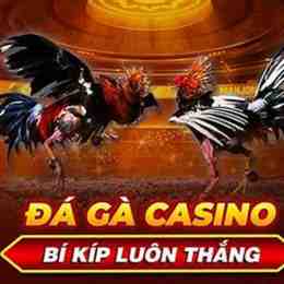 đá gà casino phú quốc