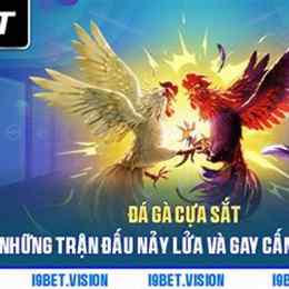 đá gà chung kết