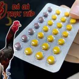 da gà có hại không