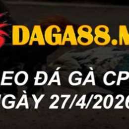 đá gà cpc2 27/10