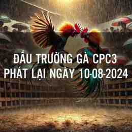 đá gà cpc3 ngày 8/9
