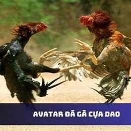 da ga cua dao fg1