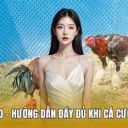 da ga cua dao my
