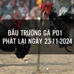 đá gà cựa dao phát lại philippines