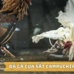 da ga cua sat tv
