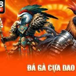 da ga cuc hay