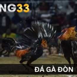 da ga don 2016