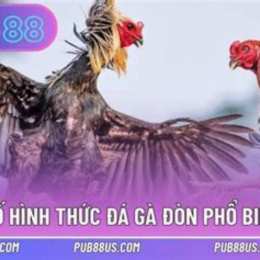 đa ga đon thomo