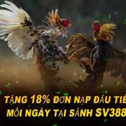 đá gà e2bet đăng nhập