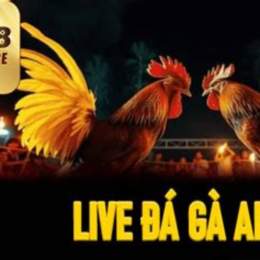 đá gà f 88