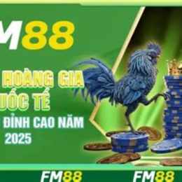 đá gà giải 27/5