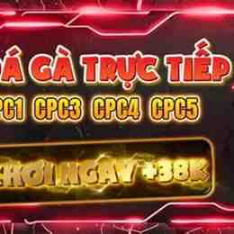 đá gà giải c1 hôm nay