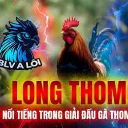 đá gà giai thomo