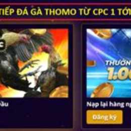 đá gà mcw19