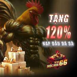 đá gà mộc hóa chấm net
