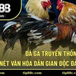 da ga nam dinh
