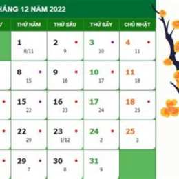 da ga ngay 12 thang 1