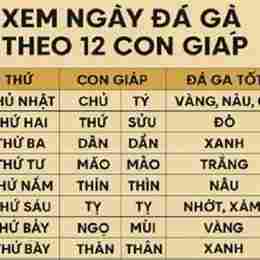 da ga ngay 17/7
