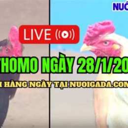da ga ngay 27 5 c3