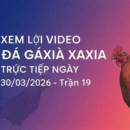 đá gà ngày 30 tháng 9