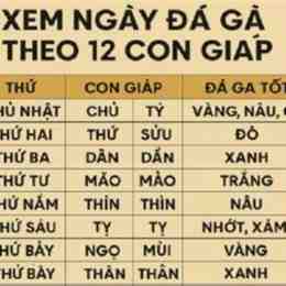 da ga ngay 5/7