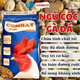 đá gà ngày 6 tháng 7