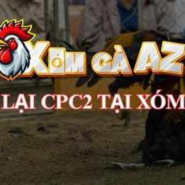 đá gà phát lại cpc3