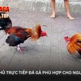 da ga phu phu