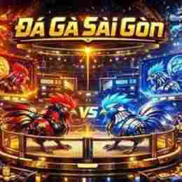 đá gà sài gòn