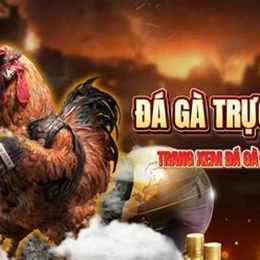 đá gà siêu cúp c3 hôm nay