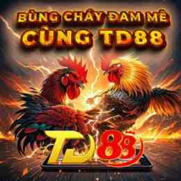 đa ga sinh đôi