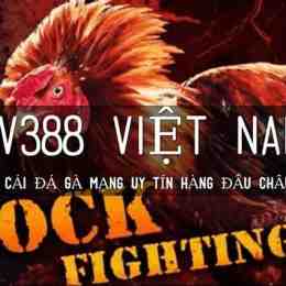 da ga ssv388.com