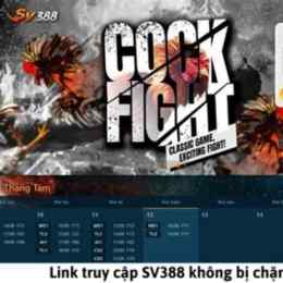 đá gà sv388 tại daga88.live