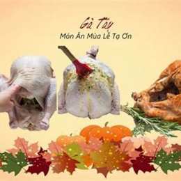 da ga tay ninh