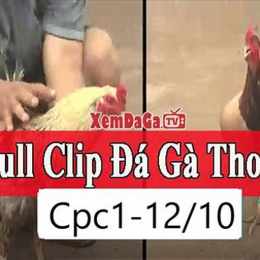 da ga thomo 12 12 c3
