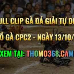 đá gà thomo 13 10 c2