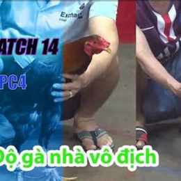đa ga thomo 14 8