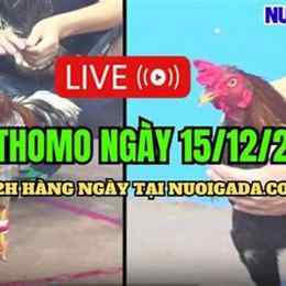 da ga thomo 15 7 c1