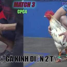 đa ga thomo 24 3