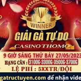 đá gà thomo 27 5 c3
