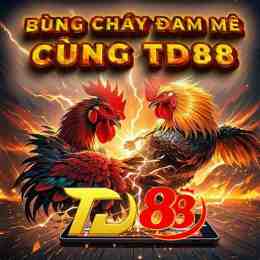 đá gà thomo 88 c2