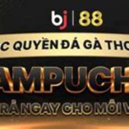 đá gà thomo 888 trực tiếp