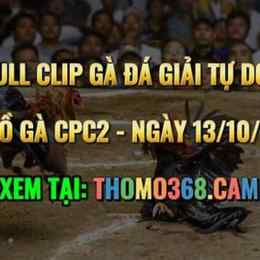 da ga thomo c2 13 10