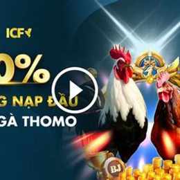 đá gà thomo c2 28/7