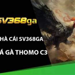 đá gà thomo c3 11 8